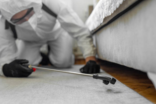 Professional Bed Bug Control technician working in Le Sueur County County, MN